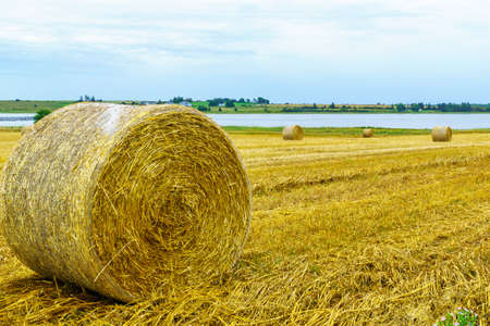 View of countryside and haystacks near Grand River, Prince Edward Island, Canadaの写真素材
