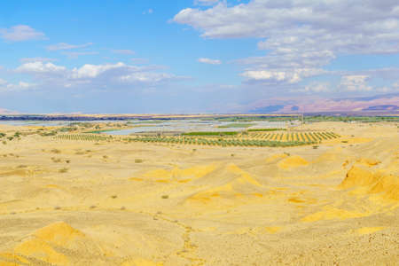 Desert landscape in the Sheizaf Nature Reserve, the Arava desert, southern Israelの写真素材