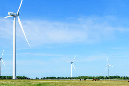 View of wind turbines in the North Cape, Prince Edward Island, Canada