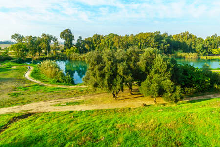 View of the lake, in Yarkon (Tel Afek) National Park, central Israelの写真素材