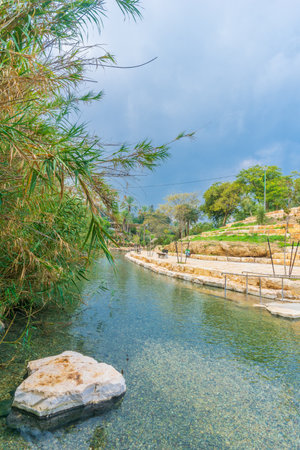 View of natural warm water pool in Gan HaShlosha National Park (Sakhne), in the Bet Shean Valley, Northern Israelの写真素材