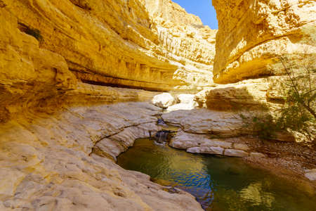 View of the upper pools along the Arugot stream, in Ein Gedi Nature Reserve, near the Dead Sea, Southern Israelの写真素材