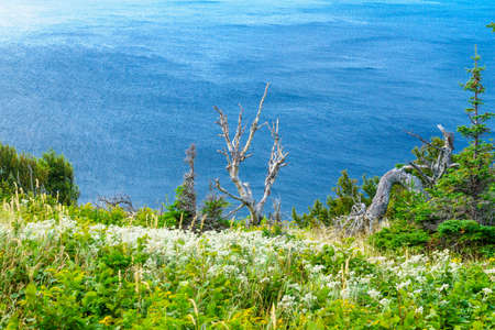 Views of the skyline trail, in Cape Breton Highlands National Park, Nova Scotia, Canadaの写真素材
