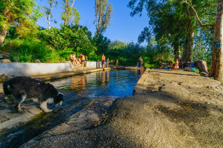 Gadot, Israel - June 02, 2021: View of Ein Almin (the officers pool), with visitors, on the slopes of the Golan Heights, Northern Israelのeditorial素材