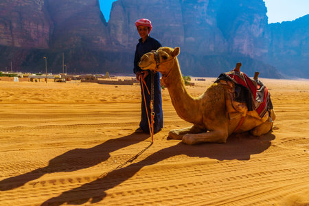Wadi Rum, Jordan - October 22, 2021: A young Bedouin man, with his camel, in the landscape of Wadi Rum, desert park in Southern Jordanのeditorial素材