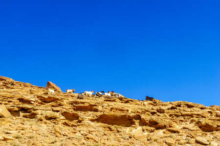 View of desert mountain landscape, near Petra, in Southern Jordanの写真素材