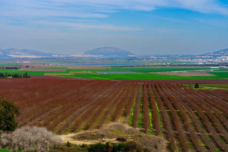 View of the landscape of Jezreel valley countryside, and Mount Tabor, viewed from Megiddo, Northern Israelの写真素材