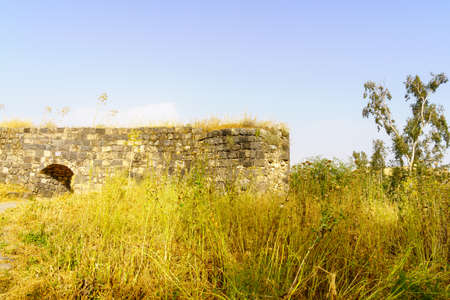 View of the Bet Shean Park, with Roman Antiquities, the Harod Stream, and Eucalyptus trees, in the...