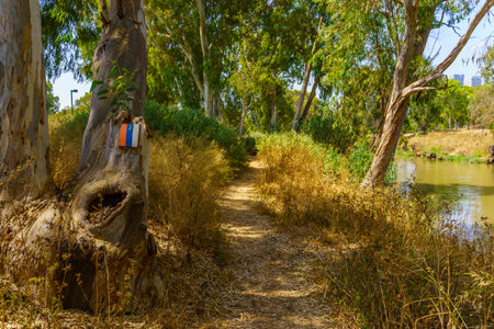 View of the Israel National Trail marker, in the Yarkon Park, Tel-Aviv, Israelの写真素材