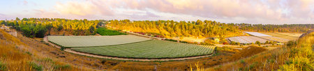 Sunrise panorama of countryside and rolling hills in the Shephelah region, near Lachish, south-central Israelの写真素材