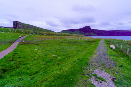 Sunset view of coastal cliffs and rocks, with sheep, in Neist Point, the Isle of Skye, Inner Hebrides, Scotland, UKの写真素材