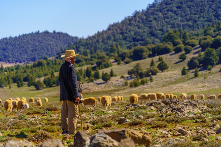 Ben Smim, Morocco - April 01, 2023: View of a shepherd and sheep, in the Middle Atlas Mountains, Moroccoのeditorial素材