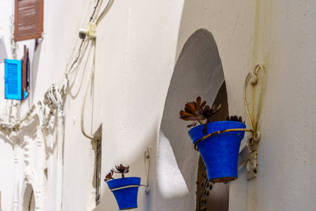 View of colorful plant pots, windows, and shutters on a typical house white wall, in Rabat, Moroccoの写真素材