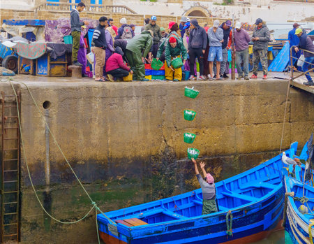 Essaouira, Morocco - April 07, 2023: Sunrise scene of the fishing port, with fishermen delivering baskets of sardines, multiple exposures of one throw, in Essaouira (Mogador), Moroccoのeditorial素材