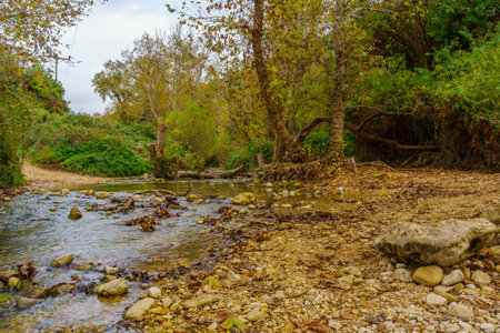 View of Ein Hardalit Nature Reserve, and the Kziv stream, at autumn. Western Galilee, Northern...