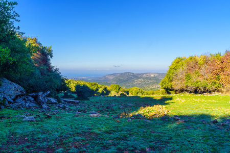 View of rural mountain landscape, with the Mediterranean Sea in the background, in the Upper Galilee, Northern Israelの写真素材