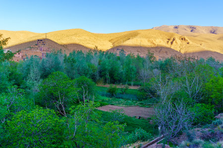 View of the Dades Gorge landscape, in the High Atlas Mountains, Central Moroccoの写真素材