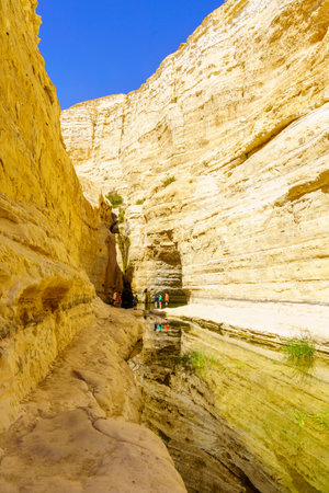 Sde Boker, Israel - August 10, 2023: View of the Canyon of Ein Avdat National Park, with visitors, its an oasis in the Negev Desert, Southern Israelのeditorial素材