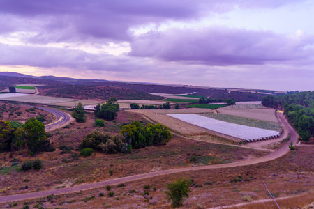 Sunrise view of countryside and rolling hills in the Shephelah region, near Lachish, south-central Israelの写真素材