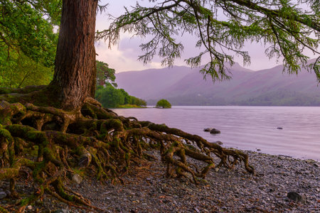 Sunset view of Derwentwater lake, near Keswick, in the Lake District, Cumbria, England, UKの写真素材