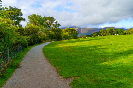 View of a footpath, trees, grass, sheep, and mountains, near Keswick, in the Lake District, Cumbria, England, UKの写真素材