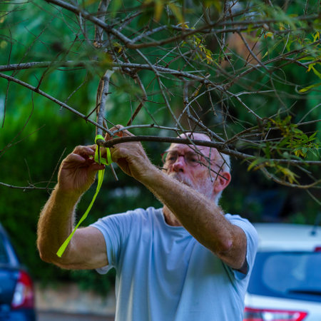 Haifa, Israel - October 26, 2023: People hang yellow ribbon on trees, as a symbolic call to bring back the people kidnapped to Gaza. Haifa, Israelのeditorial素材