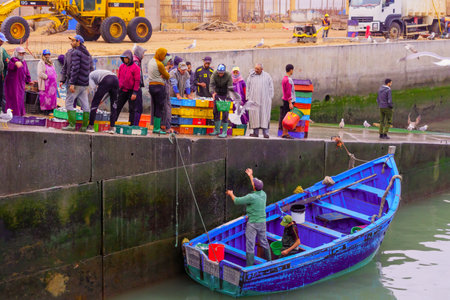 Essaouira, Morocco - April 07, 2023: Sunrise scene of the fishing port, with fishermen delivering baskets of sardines, in Essaouira (Mogador), Moroccoのeditorial素材