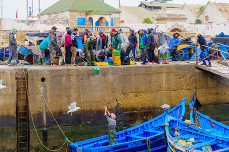 Essaouira, Morocco - April 07, 2023: Sunrise scene of the fishing port, with fishermen delivering baskets of sardines, in Essaouira (Mogador), Moroccoのeditorial素材