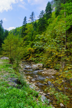 View of the Buynovo River Gorge landscape, in the Rhodope Mountains, southern Bulgariaの写真素材