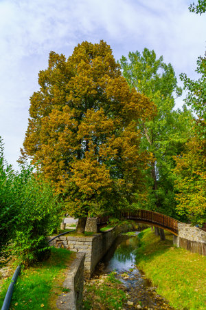 View of trees and a footbridge, in Koprivshtitsa, Bulgariaの写真素材