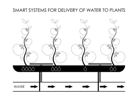  smart systems of point delivery of water to plants in greenhouses. Eco farming, increasing productivity. Isolated vector on white backgroundのイラスト素材