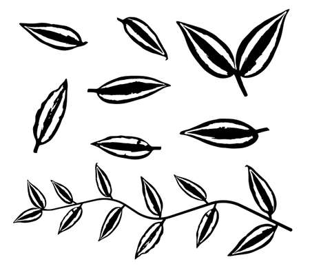 Black thin tradescantia liana grass leaves silhouettes isolated on white. Climbing thin plant brush. Houseplants. Stencil vectorのイラスト素材