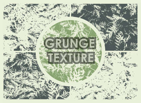 set of conifer tree grunge textures with different number of spots on transparent background. Texture of old poster background. Vectorのイラスト素材