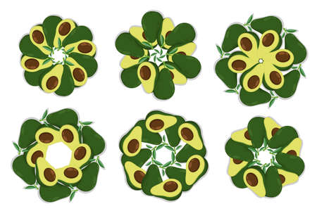 Juicy avocado fruit whole and cut to decorate food. Slices of avocado in form of sun or flower on top of dish. Cartoon vector isolated on white backgroundのイラスト素材