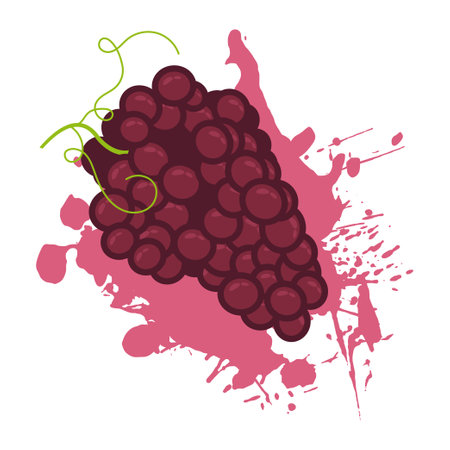 Abstract delicious bunch of grapes with tendrils. Summer exotic bunch of grapes background of splashes of juice. Cartoon vector isolated on white backgroundのイラスト素材