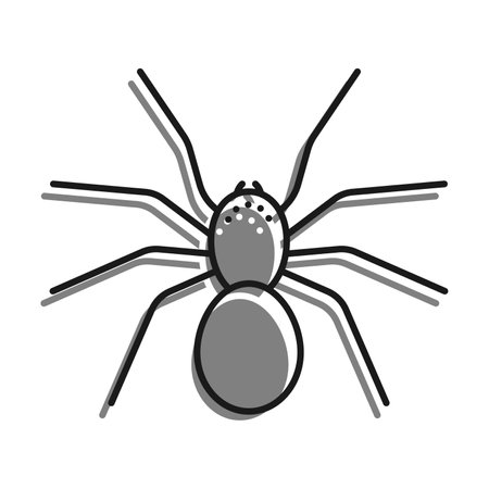 Linear filled with gray color icon. Eight Legged Poisonous Spider. Dangerous Insect Pests. Simple black and white vector Isolated On white backgroundのイラスト素材