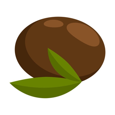 Avocado fruit pit young sprout with leaves. Farming and harvesting. Flat cartoon vector isolated on...