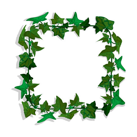 Ivy liana grass with green leaves. Cartoon square border for greeting card decorating, invitation cards. Colored vector isolated on white backgroundのイラスト素材