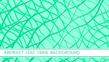 Horizontal green leaf with veins abstract background with leaf macro photography, cover, site presentation in HD format. UI template layout for web design of internet products. Vector bannerのイラスト素材