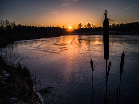 Calm moody Photo Above the Pond Directly into the Beautiful Sunset with Clear Orange and Red Skiesの写真素材