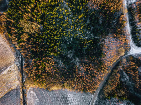 Aerial Drone Overview Photography of a Partly Snowy Forest in a Sunny Winter Day with a Beautiful Sun Beam Shining over Treesの写真素材