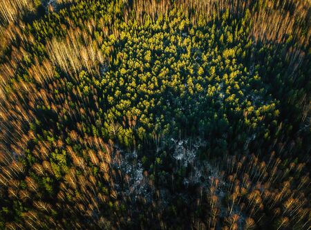 Aerial Drone Overview Photography of a Partly Snowy Forest in a Sunny Winter Day with a Beautiful Sun Beam Shining over Treesの写真素材