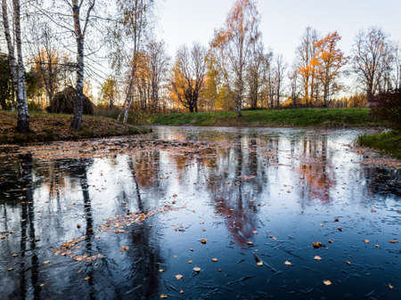 Beautiful Photo of a Frozen Lake in Sunny Autumn Day in an October, with a Sun Shining Directly at Camera Through the Treesの写真素材