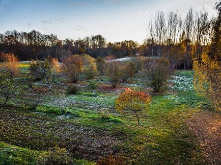 Aerial Drone Photography of the Colourful Apple Tree Garden in Snowy Autumn Dayの写真素材