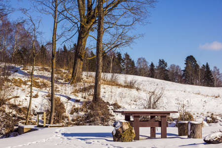 Picnic Table Covered in a Snow on a Sunny Winter Day with a Forest and th Blue Skies in a Backgroundの写真素材