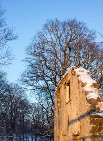 Old Ruins in a Countryside on a Sunny Winter Day with Trees Behind Themの写真素材