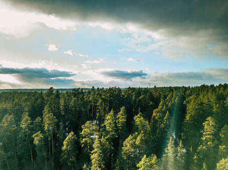 Aerial Photography of a Bright Forest in Sunny Winter Day with a nice Blue Skies in the Backgroundの写真素材