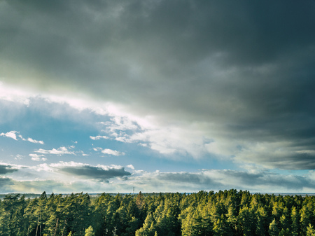 Aerial Photography of a Bright Forest in Sunny Winter Day with a nice Blue Skies in the Background