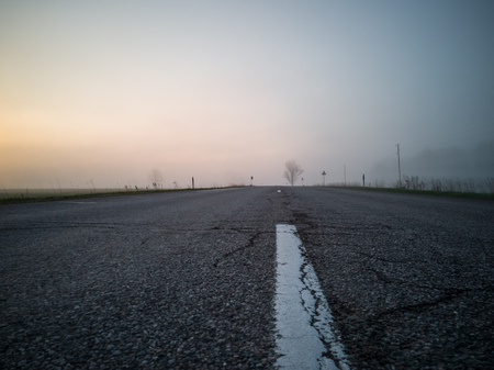 Tree Silhouette in an Early Morning Besides Countryside Road with a Heavy Mist Covering the...
