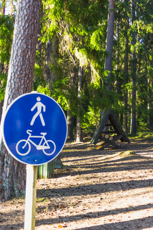 Calm and Sunny Spring Day in the Forest, with Sun Shining on top of the Trees - Walking Path Sign in the Foreground and the Log Shed in the Backgroundの写真素材